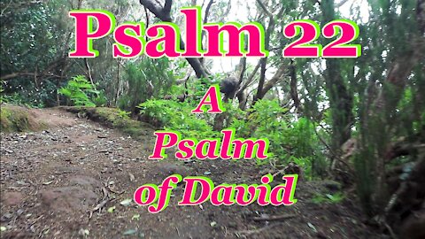 Psalm 22~ A Psalm of David