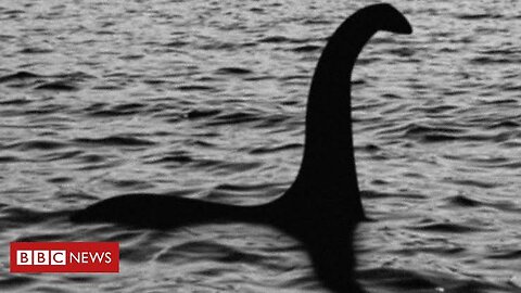 Unbelievable Footage: 5 Real Sea Serpent Encounters