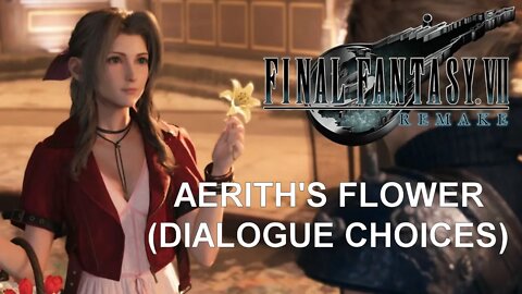 Final Fantasy VII Remake (PS4) - Aerith's Flower (Dialogue Choices)