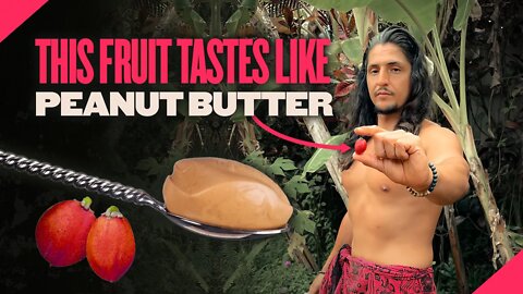 This fruit tastes like Peanut Butter