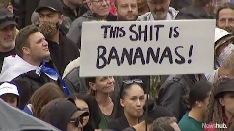 Newshub's Jenna Lynch: The Crowds Were "Underwhelming, Under Their Umbrellas"