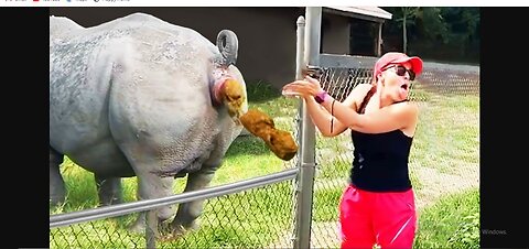 UNEXPECTED ANIMALS ATTACK- FANNY ANIMALS VIDEO