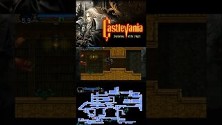 CASTLEVANIA SOTN #5