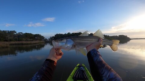 Calm Backwaters - Caught 1 Snook - Pretty Blue Sky