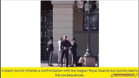 A black tourist initiates a confrontation with Norwegian Royal Guards but quickly learns