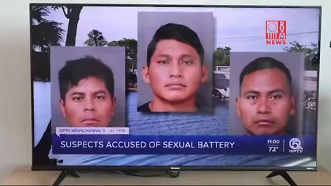 Enormous Spike In Sex Crimes Against Kids By Illegal Aliens - Martin County Sheriff