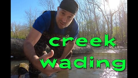 CREEK WADING (i caught a BUNCH!!!)