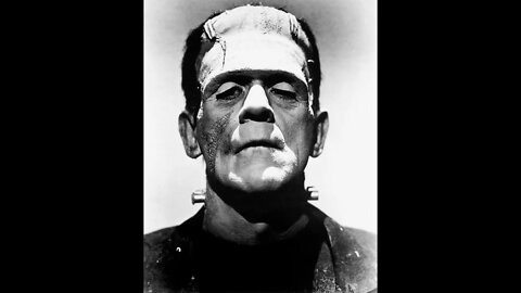 Frankenstein: Summary and Theory