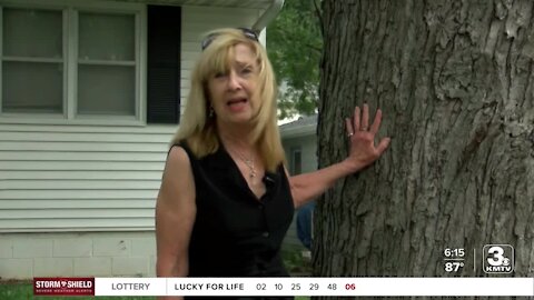 Property owner fighting to save neighborhood tree