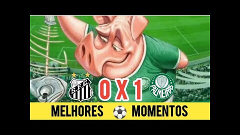 Santos 0x1 Palmeiras / AO VIVO - Melhores Momentos / 29/05/2022