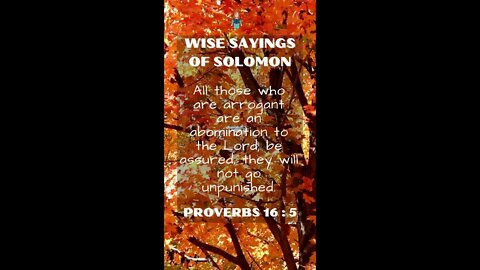 Proverbs 16:5 | NRSV Bible | Wise Sayings of Solomon