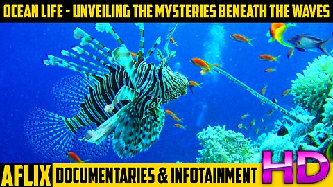 Ocean Life Documentary - Unveiling the Mysteries Beneath the Waves