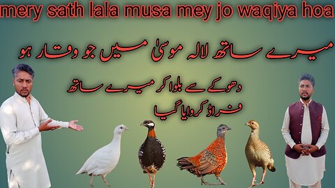 mery sath lala musa mey jo waqiya hoa // 🦃