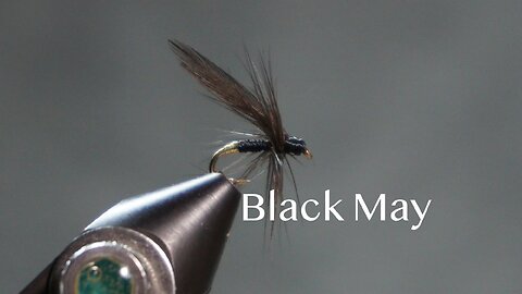 Black May (from Favorite Flies and Their Histories - 1892 - by Mary Orvis Marbury)