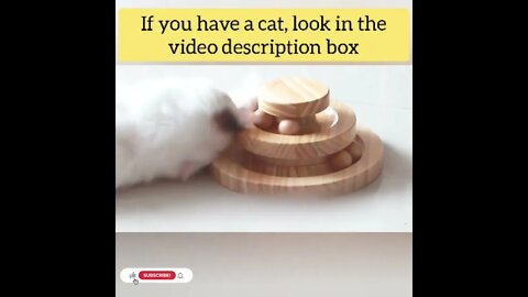 cute cat videos 😹 funny videos 😂140