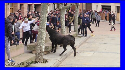 ALDEANUEVA DE EBRO ( LA RIOJA ) MATINAL ( LUNES 2 ENERO 2023 ) SANTOS ZAPATERIA