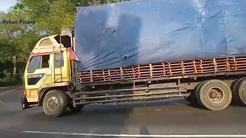 Truk Tronton Bermuatan Kayu Palet, Truk Canter Truk Engkel