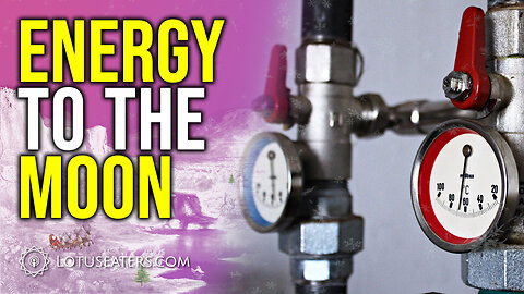 The Self-Inflicted Energy Crisis