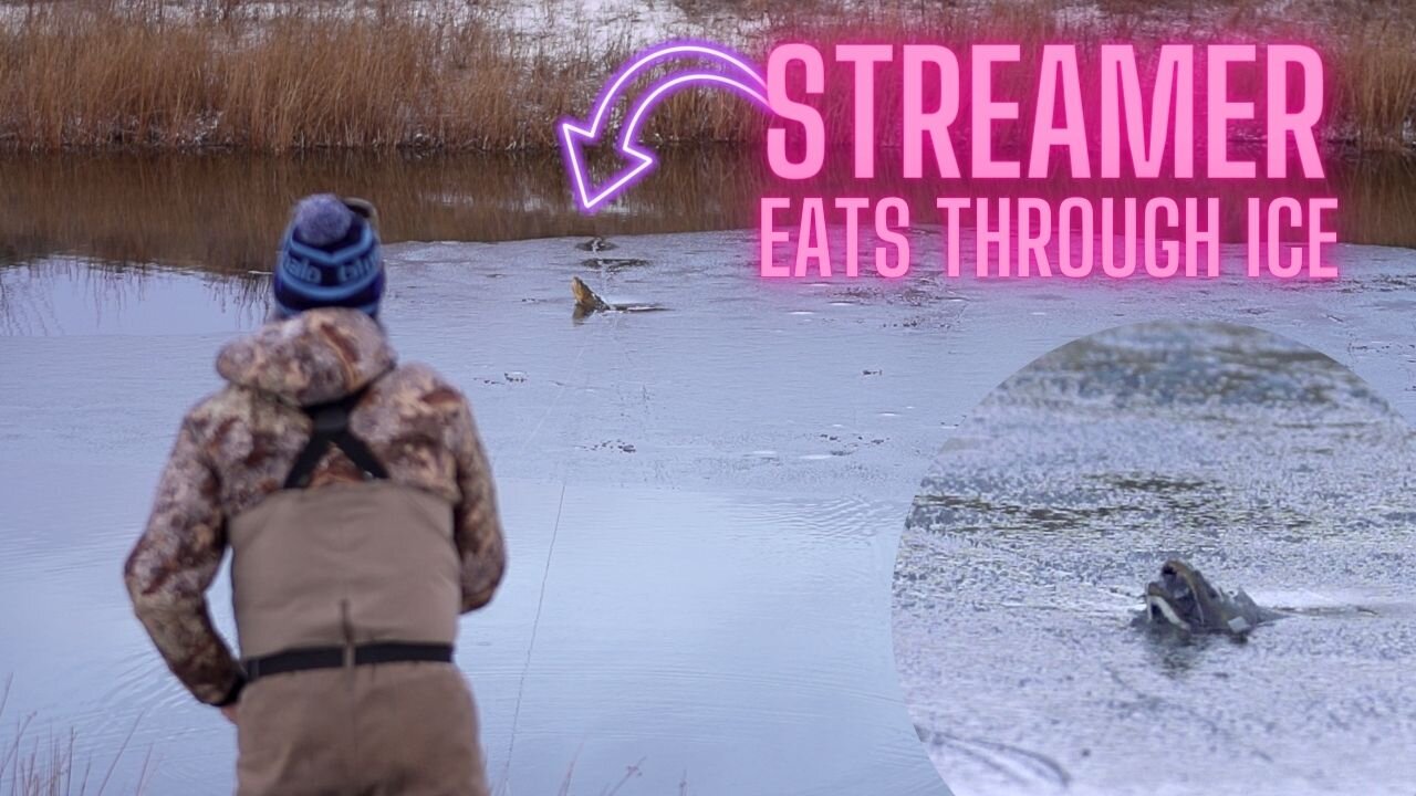 Fish Busting Fish Busting Through the Ice to Eat!