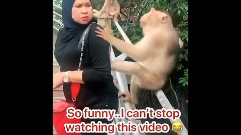 Funny video