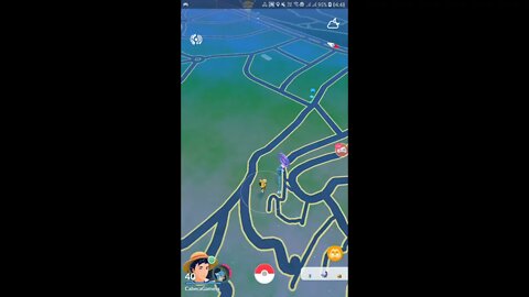 Live Pokémon GO - Dia Comunitário Machop