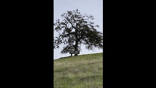 Lime Ridge Open Space Sign