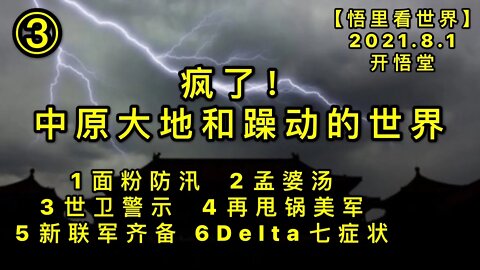 KWT2180(3)1面粉防汛2孟婆汤3世卫警示4再甩锅美军5新联军齐备6Delta七症状20210801-6【悟里看世界】