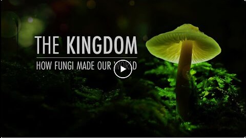 Fungal Empire