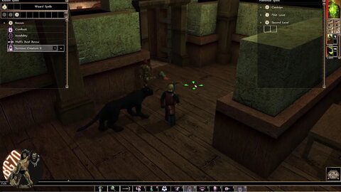 Playing some Neverwinter Nights