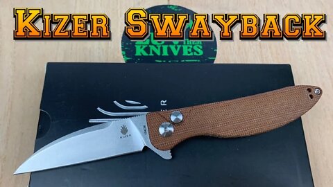 Kizer Swayback buttonlock (Swaggs design)/includes disassembly/small inexpensive and fidget friendly