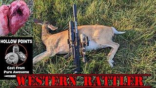 WESTERN RATTER 357.... newer model