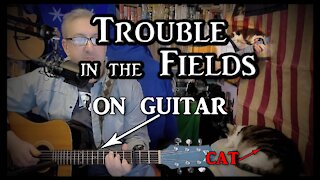 Maura O'Connell's Trouble in the Fields on Guitar (with my cat)