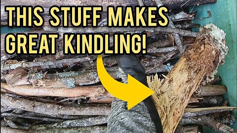 Collecting Kindling | Fried Puffball Mushrooms | My Land Feeds Me!