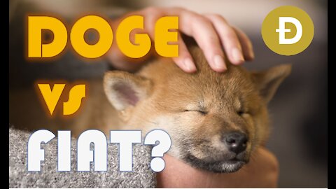 🚀🚀🚀DOGE vs FIAT 💵 - Huge Game! -🐕‍🦺 DOGE outsmarts AI ! - The DogeFather is ELON MUSK - BTFD & Hodl!