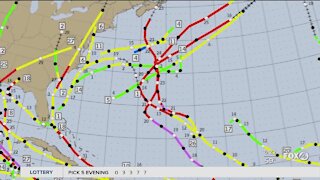 Hurricanes can harm Floridas eco system