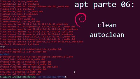 apt parte 06: clean e autoclean