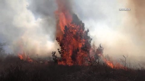 Firefighters extinguish Chula Vista brush fire