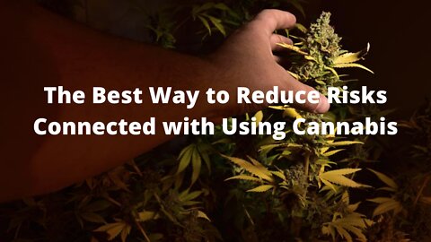 The Best Way to Reduce Risks Connected with Using Cannabis