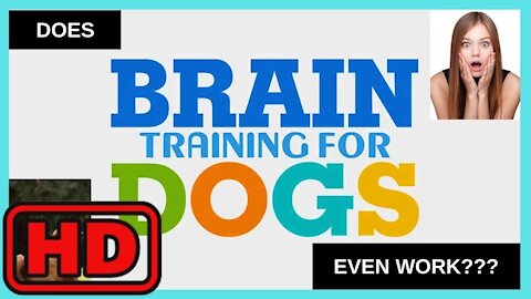 Brain Training For Dogs Review: Dont Buy Before Watching This