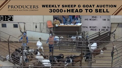 1/3/2023 - Producers Livestock Auction Company Sheep & Goat Auction