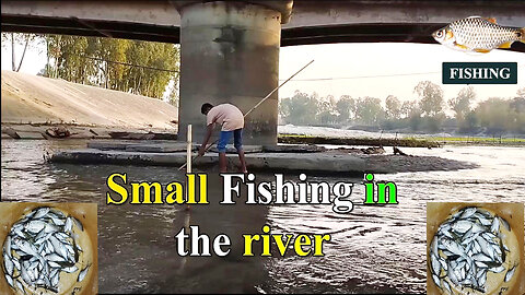 Small fishing in the river । River fishing