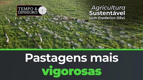 Riza sementes, Pastagens mais vigorosas