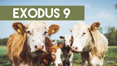 Exodus 9 - Sermon with Pastor Mike Kestler