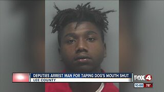 Man arrested for allegedly taping dog's mouth shut