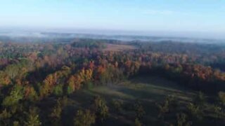 Tåkelagt landskap i South Carolina