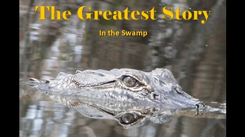 THE GREATEST STORY - Part 22 - In the Swamp