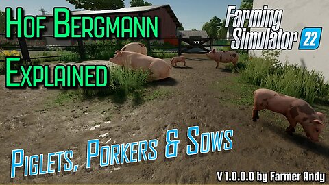 👨🏼‍🌾 FS22 Hof Bergmann Explained 👨🏼‍🌾 Pigs 👨🏼‍🌾 Piglets, Porkers, Sows