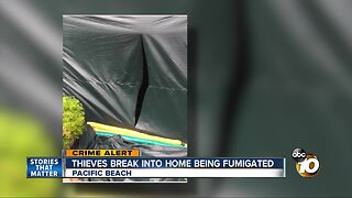 Thieves break into home being fumigated