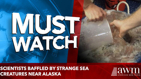 Scientists baffled by strange sea creatures near Alaska