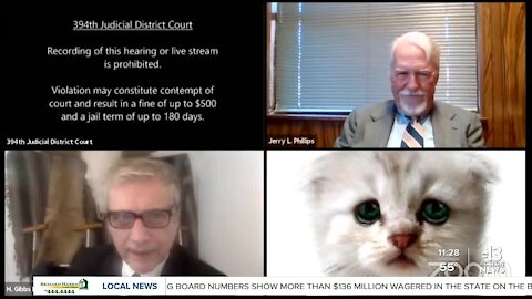 TRENDING | Texas lawyer shows up as cat on Zoom hearing